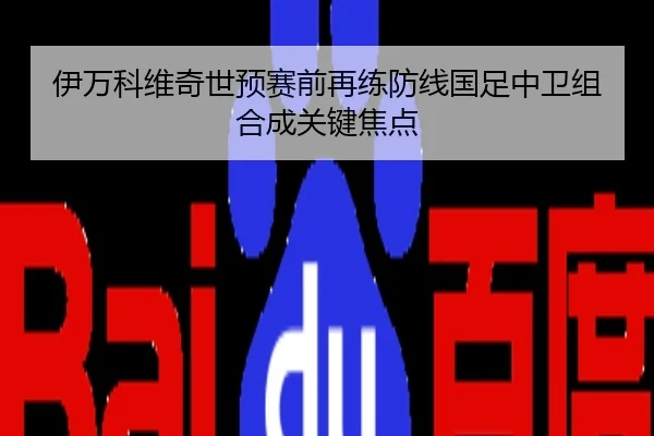 伊万科维奇世预赛前再练防线国足中卫组合成关键焦点